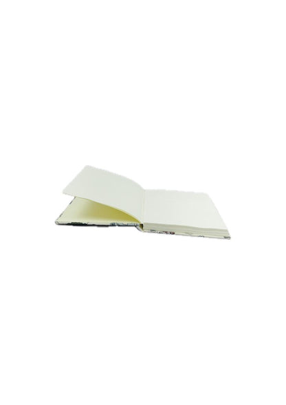 Diary